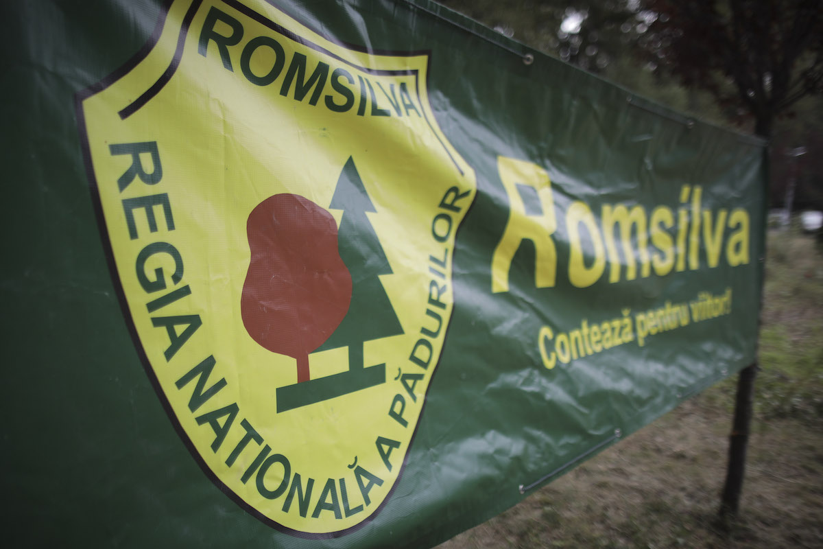Romania's Romsilva secures 4,600 hectares of forests after 20-year litigation